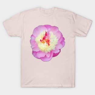 Pretty Pink Peony - Pink Background T-Shirt